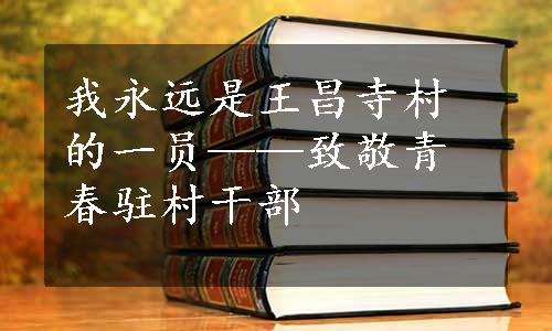 我永远是王昌寺村的一员——致敬青春驻村干部