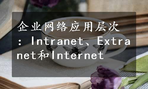 企业网络应用层次：Intranet、Extranet和Internet