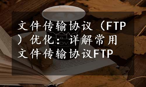 文件传输协议（FTP）优化：详解常用文件传输协议FTP