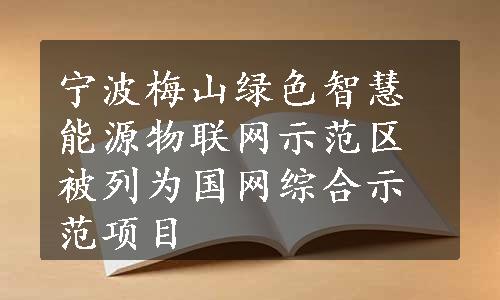 宁波梅山绿色智慧能源物联网示范区被列为国网综合示范项目