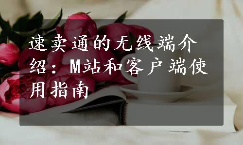 速卖通的无线端介绍：M站和客户端使用指南