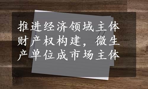 推进经济领域主体财产权构建，微生产单位成市场主体