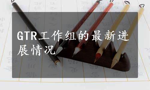 GTR工作组的最新进展情况