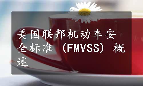 美国联邦机动车安全标准 (FMVSS) 概述