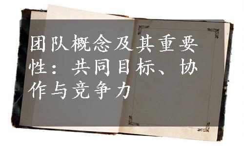 团队概念及其重要性：共同目标、协作与竞争力