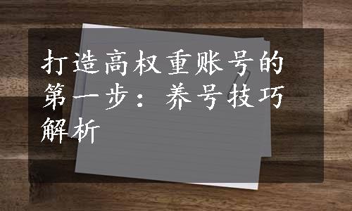 打造高权重账号的第一步：养号技巧解析