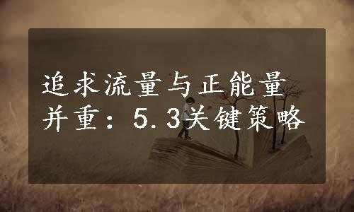 追求流量与正能量并重：5.3关键策略