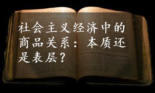 社会主义经济中的商品关系：本质还是表层？