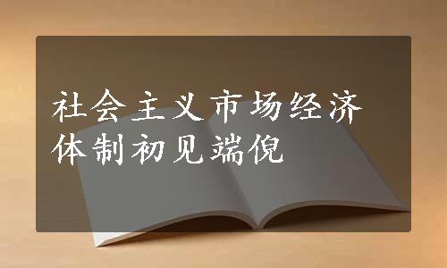 社会主义市场经济体制初见端倪