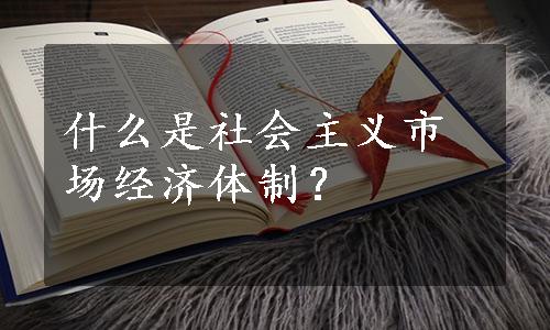 什么是社会主义市场经济体制？