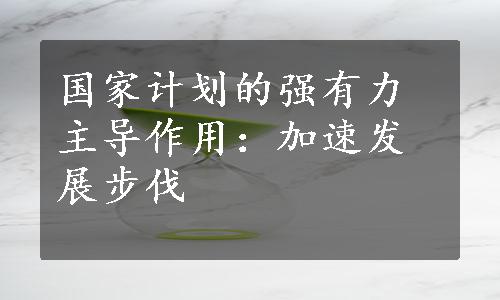 国家计划的强有力主导作用：加速发展步伐