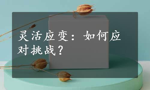 灵活应变：如何应对挑战？