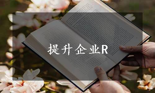 提升企业R