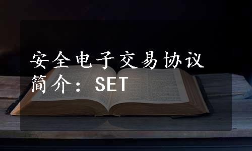 安全电子交易协议简介：SET