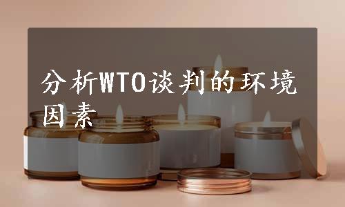 分析WTO谈判的环境因素