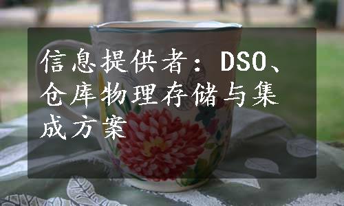 信息提供者：DSO、仓库物理存储与集成方案