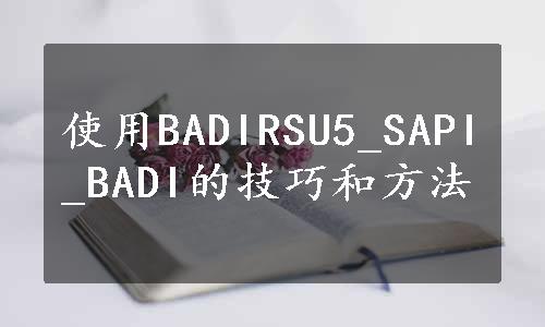 使用BADIRSU5_SAPI_BADI的技巧和方法