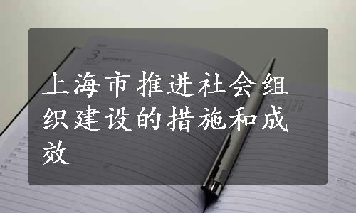 上海市推进社会组织建设的措施和成效