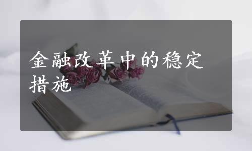 金融改革中的稳定措施