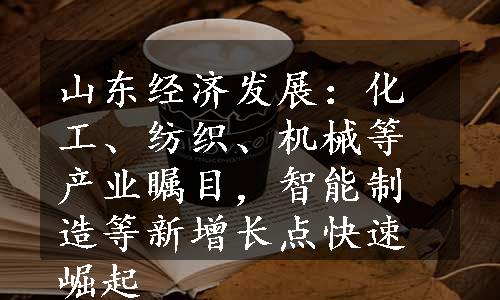 山东经济发展：化工、纺织、机械等产业瞩目，智能制造等新增长点快速崛起