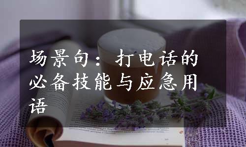 场景句：打电话的必备技能与应急用语