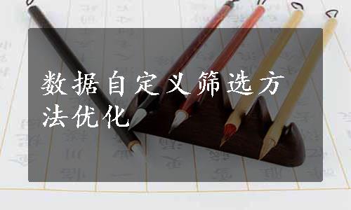 数据自定义筛选方法优化