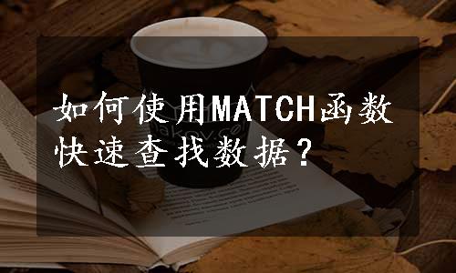 如何使用MATCH函数快速查找数据？