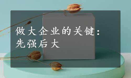 做大企业的关键：先强后大