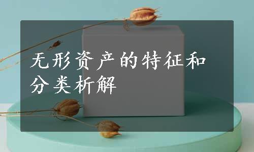 无形资产的特征和分类析解