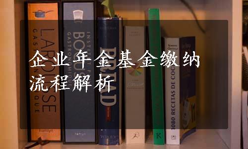 企业年金基金缴纳流程解析