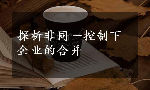 探析非同一控制下企业的合并