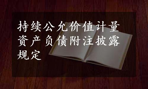 持续公允价值计量资产负债附注披露规定