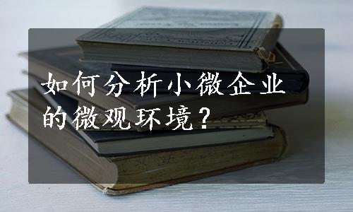 如何分析小微企业的微观环境？