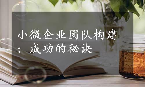 小微企业团队构建：成功的秘诀