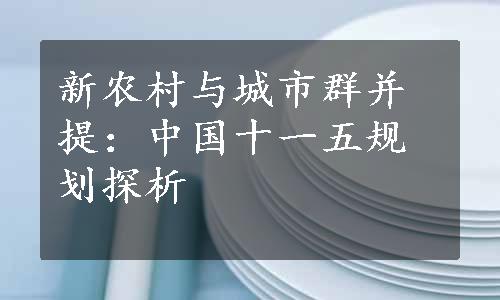 新农村与城市群并提：中国十一五规划探析