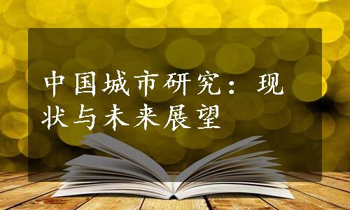 中国城市研究：现状与未来展望