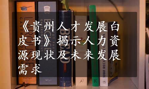 《贵州人才发展白皮书》揭示人力资源现状及未来发展需求