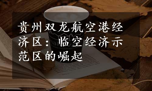 贵州双龙航空港经济区：临空经济示范区的崛起