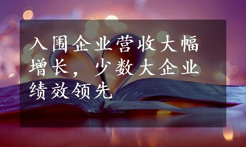 入围企业营收大幅增长，少数大企业绩效领先