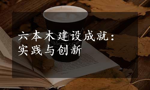 六本木建设成就：实践与创新