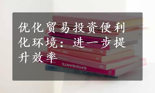 优化贸易投资便利化环境：进一步提升效率