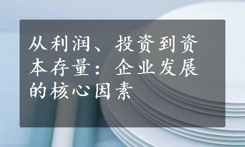 从利润、投资到资本存量：企业发展的核心因素