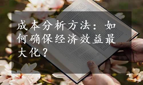 成本分析方法：如何确保经济效益最大化？