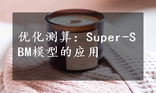 优化测算：Super-SBM模型的应用