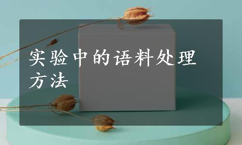 实验中的语料处理方法