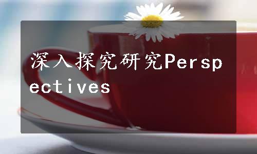 深入探究研究Perspectives