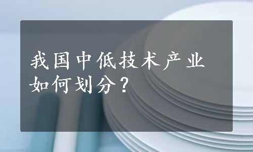 我国中低技术产业如何划分？