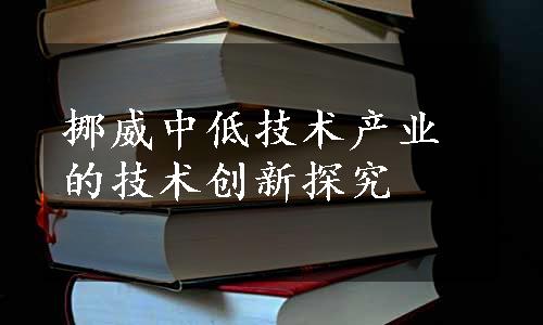 挪威中低技术产业的技术创新探究