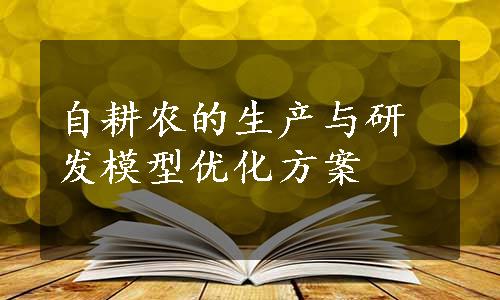 自耕农的生产与研发模型优化方案