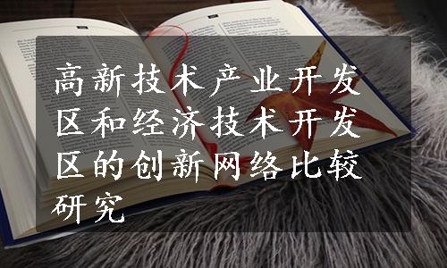 高新技术产业开发区和经济技术开发区的创新网络比较研究